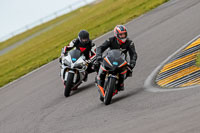 PJ-Motorsport-2019;anglesey-no-limits-trackday;anglesey-photographs;anglesey-trackday-photographs;enduro-digital-images;event-digital-images;eventdigitalimages;no-limits-trackdays;peter-wileman-photography;racing-digital-images;trac-mon;trackday-digital-images;trackday-photos;ty-croes
